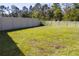 Large, fenced backyard with a well-maintained lawn, providing a safe and private outdoor space at 19730 Preservation Woods Dr, Lutz, FL 33558