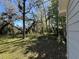 The backyard features green grass, mature trees, and a wooded area at 203 D Street, Brooksville, FL 34601
