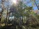 Lush backyard featuring mature trees, offering shade and a serene, natural setting at 203 D Street, Brooksville, FL 34601