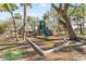 Colorful playground equipment on mulch surrounded by mature trees, offering a fun space for children at 300 16Th Ave, Indian Rocks Beach, FL 33785