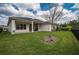 A well-maintained backyard features a covered patio and green grass at 4206 Tour Trce, Land O Lakes, FL 34638