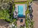 Aerial view of a community pool surrounded by lush landscaping and lounge chairs at 4266 Preserve Pl # 4266, Palm Harbor, FL 34685