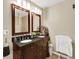 Traditional bathroom with double sink vanity, dark countertops, and framed mirrors at 4312 Sunray Ct # 36, Tampa, FL 33615