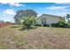 Spacious back yard featuring mature landscaping, green grass, and a privacy fence at 8137 Greenside Ln, Hudson, FL 34667
