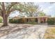 Charming single-story home featuring a well-manicured lawn and mature trees providing ample shade at 4517 S Renellie Dr, Tampa, FL 33611