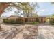 Charming single-story home featuring a well-manicured lawn and mature trees providing ample shade at 4517 S Renellie Dr, Tampa, FL 33611