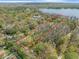 Aerial image shows the property's boundaries near the lake, showcasing trees, greenery, and lake access at 6302 Fitzgerald Rd, Odessa, FL 33556
