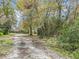 Tranquil setting with a long driveway leading to the house, surrounded by lush greenery and mature trees at 6302 Fitzgerald Rd, Odessa, FL 33556