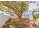 Large backyard features mature trees, white fencing, and space for outdoor activities at 7998 Causeway N Blvd, St Petersburg, FL 33707