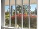 View from the window showcasing lush greenery and a clear blue sky at 864 15Th Ne Ave, St Petersburg, FL 33704