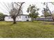 Backyard with a large lawn and mature trees, offering ample green space at 1316 Barry St, Clearwater, FL 33756