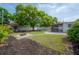 Backyard with lush green lawn, shed and mature tree at 1415 54Th N Ave, St Petersburg, FL 33703