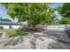 Spacious backyard with a large tree, picnic table with swings and a long concrete driveway at 1415 54Th N Ave, St Petersburg, FL 33703