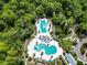 Aerial view of zero entry and lap pools surrounded by lush tropical landscape at 17802 Everlong Dr, Land O Lakes, FL 34638