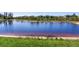 Picturesque view of a tranquil lake framed by lush greenery, offering a serene and natural backdrop at 17802 Everlong Dr, Land O Lakes, FL 34638