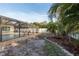 View of the enclosed pool area with patio from the backyard, showing privacy fence at 2005 Harvard Ave, Dunedin, FL 34698