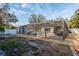 View of the pool area, patio, and landscaped backyard showcasing the layout and privacy features at 2005 Harvard Ave, Dunedin, FL 34698