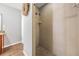 Neutral bathroom features tiled shower with showerhead, gray wall paint, decorative mirror, and wood look flooring at 37850 Prairie Rose Loop, Zephyrhills, FL 33542