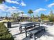 Community grilling area with picnic tables and lush landscaping under a bright blue sky at 5027 Autumn Ridge Dr, Wesley Chapel, FL 33545
