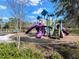 Brightly colored playground with multiple slides and climbing structures for entertainment at 5027 Autumn Ridge Dr, Wesley Chapel, FL 33545