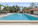 Large community pool surrounded by palm trees and plenty of seating at 2009 Hammock Pine Blvd # 2009, Clearwater, FL 33761