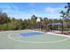 Community basketball court with a picnic shelter behind a fence, surrounded by lush greenery on a sunny day at 3135 Suncoast Blend Dr, Odessa, FL 33556