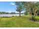 Lush backyard with a tree, green lawn, and serene lakeside views, perfect for outdoor relaxation and activities at 4322 22Nd N Ave, St Petersburg, FL 33713