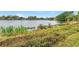 Picturesque lake view featuring lush shoreline vegetation, calm waters, and distant houses, showcasing a peaceful setting at 4322 22Nd N Ave, St Petersburg, FL 33713