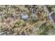 Aerial view of secluded wooded lot with cottage, sheds and circular fire pit at 5419 Cyril Dr, Dade City, FL 33523