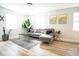 Cozy living room featuring a comfortable sectional, stylish rug, and abundant natural light at 6906 N Central Ave, Tampa, FL 33604