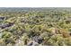 Aerial view of the community with lush trees, roads, rooftops and landscaping providing privacy and beauty at 102 Old Mill Pond Rd, Palm Harbor, FL 34683