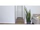 Bright hallway with wood-look tile flooring, white trim, and neutral walls at 12652 Chenwood Ave, Hudson, FL 34669