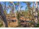 An elevated lot is ready for building amidst mature trees and natural landscape at 13574 Circa Crossing Dr, Lithia, FL 33547