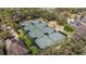 Aerial view of the neighborhood tennis courts offering recreational opportunities at 13574 Circa Crossing Dr, Lithia, FL 33547