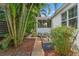 Property's backyard features lush tropical landscaping and a screened in porch at 209 17Th N Ave, St Petersburg, FL 33704