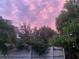 The lush backyard, enclosed by a white fence, features an array of trees silhouetted against a vibrant pink and purple sunset at 2107 S West Shore Blvd, Tampa, FL 33629