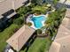 Aerial view of a community pool with lounge chairs, palm trees, and lush landscaping around a clover-shaped pool at 2537 Gloriosa Dr # 2, Palm Harbor, FL 34684