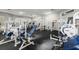 Community gym featuring modern weightlifting and cardio equipment for residents' fitness needs at 4209 Woodstorks Walk Way # 1304, Lutz, FL 33558