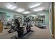 Fully equipped gym with a variety of machines and equipment for comprehensive fitness at 1006 Osprey Ct, Tarpon Springs, FL 34689