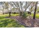 Expansive lawn with mature trees, providing ample shade and scenic views in a serene outdoor space at 13467 Princewood Ct, Spring Hill, FL 34609