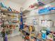 Organized pantry with ample storage shelves, stocked with food items and household supplies at 17950 Beaming Rays Ln, Lutz, FL 33558