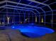 Enclosed pool area illuminated by blue lighting, creating a serene and inviting atmosphere at night at 2280 Mackenzie Ct, Clearwater, FL 33765