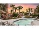 Relaxing spa area surrounded by palm trees and lush landscaping at sunset at 29845 Imperati Blvd, Wesley Chapel, FL 33543