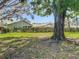 Charming single-story home featuring a well-manicured lawn, mature trees and neat hedges at 4955 Grist Mill Cir, New Port Richey, FL 34655