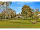 Expansive backyard features lush greenery, mature trees, and a home in the distance at 7201 Hodgewood Ct, Tampa, FL 33614