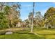 Sprawling backyard with lush greenery, mature trees, and a charming home in the distance at 7201 Hodgewood Ct, Tampa, FL 33614
