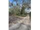 View of a dirt driveway leading to a wooded property with mature trees at 11616 Bullfrog Creek Rd, Gibsonton, FL 33534