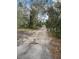 View of a dirt driveway leading to a wooded property with mature trees at 11616 Bullfrog Creek Rd, Gibsonton, FL 33534