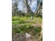 View of a grassy, wooded lot with mature trees and some ground debris at 11616 Bullfrog Creek Rd, Gibsonton, FL 33534