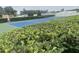 Well-maintained tennis court surrounded by lush greenery at 2131 Ridge S Rd # 86, Largo, FL 33778